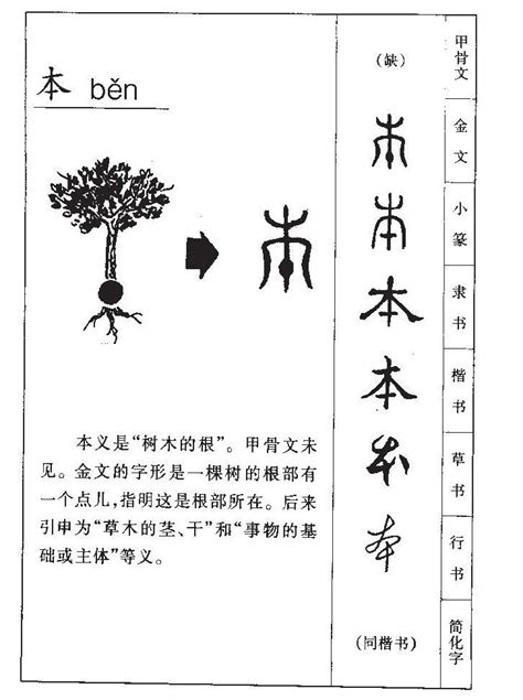 只的部首|只字形演变字源